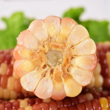 Sweet Corn Weight Loss