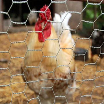 Grillage de poulet galvanisé décoratif hexagonal