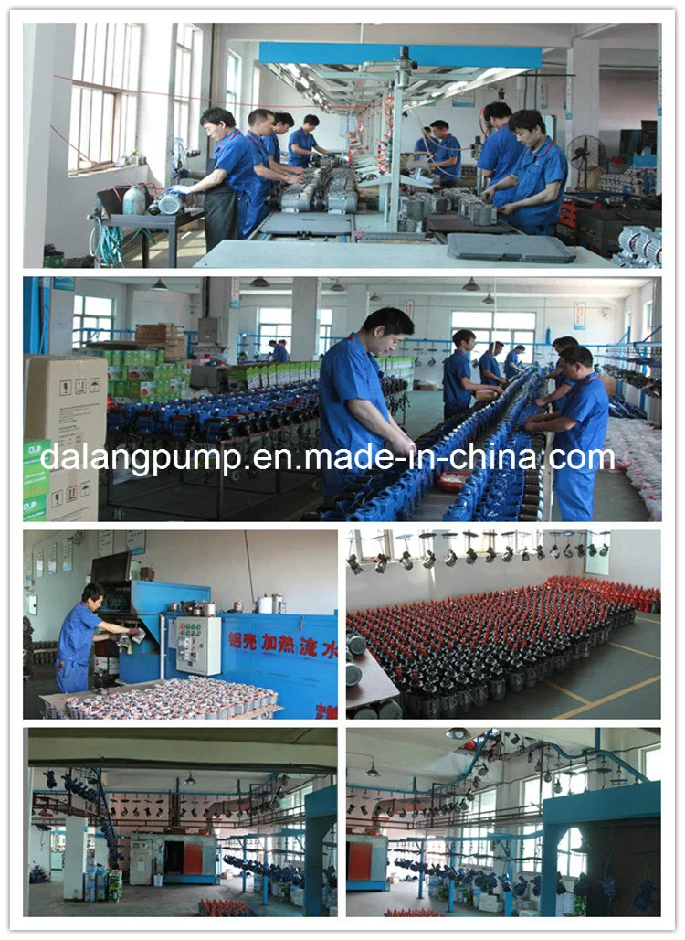 Deep Well Electric Pump (QJ Series) , Water Pump