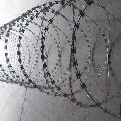 antique concertina barbed razor wire