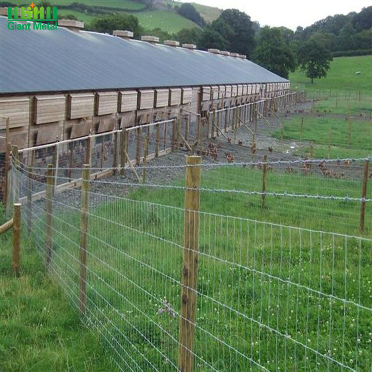 Galvanized Hinge Joint Woven Farm Field Wire Fence