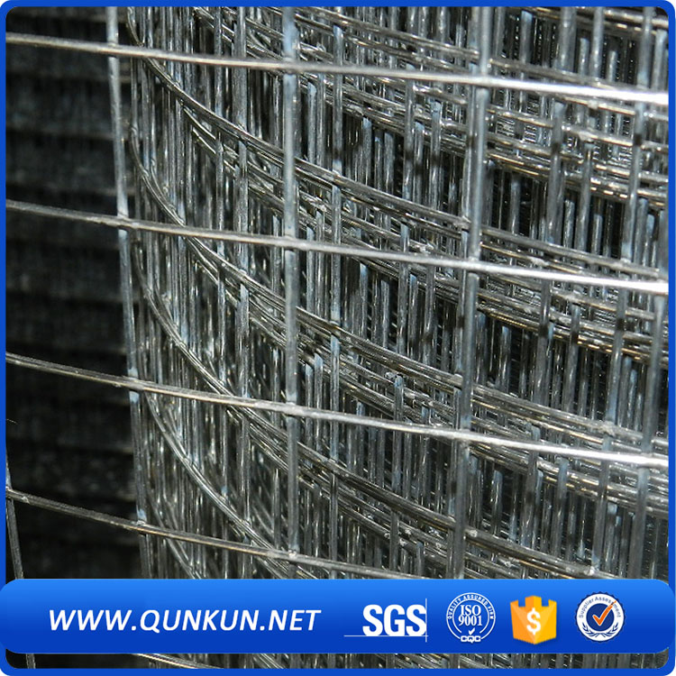 Galvanized Welded Wire Mesh