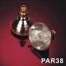 Sealed beam/80PAR38SP/PAR38