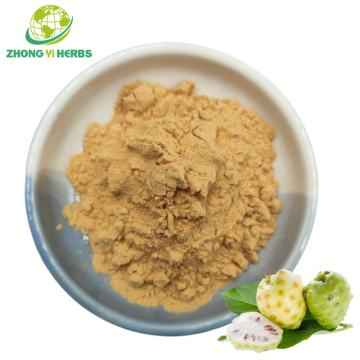 Noni Fruit Powder