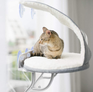 Mount Kitty Sill with Hood