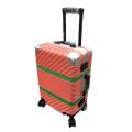 Custom Carry-On ABS Travel Suitcase Luggage For Girls