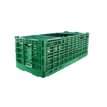 Folding Stackable Plastic Crates for Logistics and Vegetables
