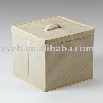 Storage Box/Home Storages/Storage Organizer