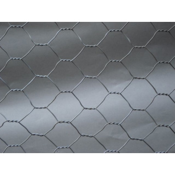 maille hexagonale galvanisée pour cage lapin poulet singe