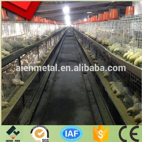 chinese battery cages for broiler chicken supply