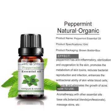 Factory Extraction Best Price 100% Pure Peppermint Oils