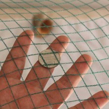 Butterfly Protection Netting