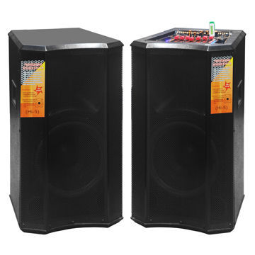 Stage Loudspeakers with USB/SD/FM Radio