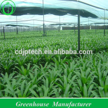 Film Fixer for Greenhouse