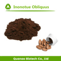 Extracto de hongo Chaga Inonotue Obliquus Polisacáridos 10%