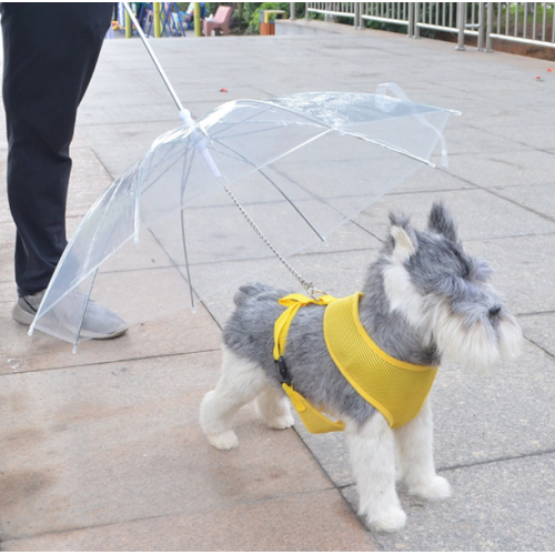 Högkvalitativ transparent hundparaply