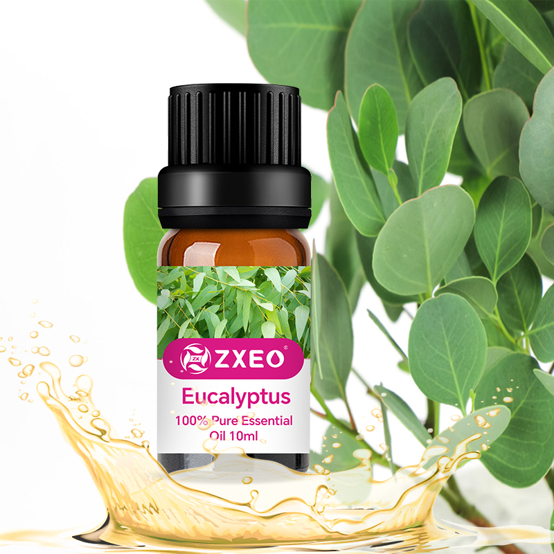 Minyak esensial Eucalyptus Pure Grade Premium Minyak Eucalyptus Globulus Alami untuk Minyak Pijat Aromaterapi