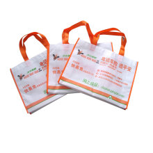 Nonwoven Bag for Promotion Tote