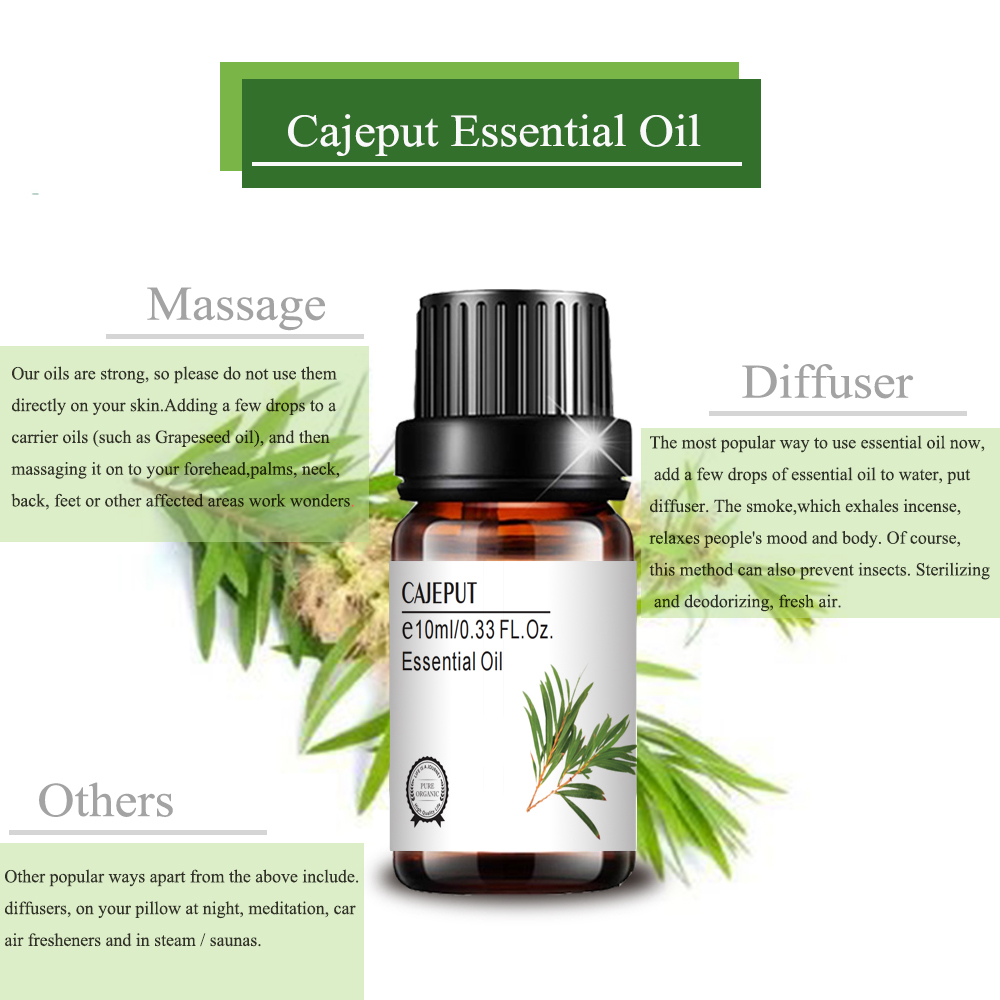 Pure Organic Certified Cajeput Essential Oil high quality