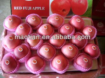 Fruit Market Prices Apple