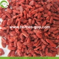 Factory Supply Healthy Super Food Dried Red Goji