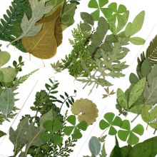 Dried Greenery and Leaves for Resin Projects