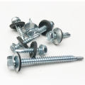 Metric Slotted Hex Head Screws