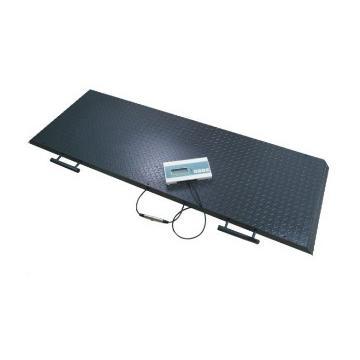 DS-2500-750 Floor Scale