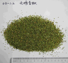 Green Bell pepper Green Color