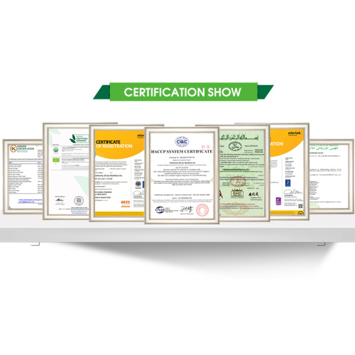 Fornecimento de fábrica de alta qualidade cogumelo 100% puro orgânico