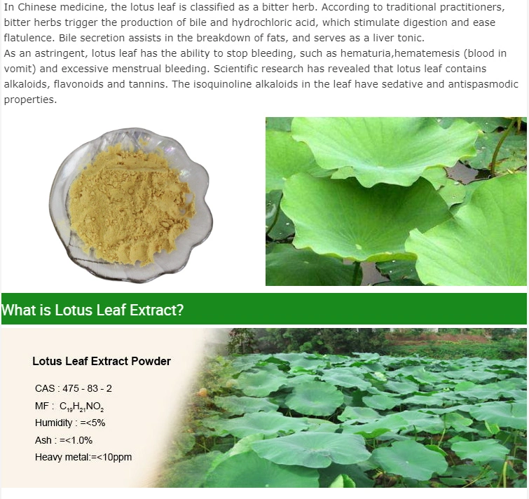 Factory Supply Lotus Leaf Extract P. E. Alkaloids 2% Supplement Slimming Products