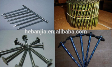 Nails common nails roofing nais concrete nails