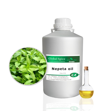 Pure Natural Wormseed Oil From Herbs Extract Oil