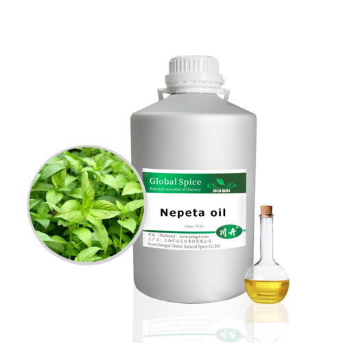 Pure Natural Wormseed Oil From Herbs Extract Oil