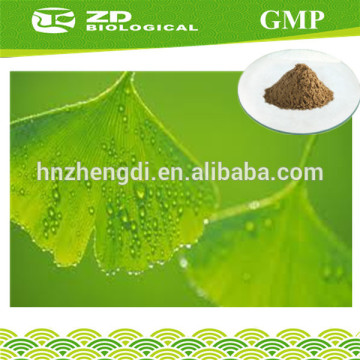 China GMP Factory ginkgo biloba leaf extract in herbal extact