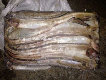 Frozen Eel fish