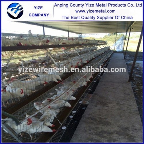 China wholesale chicken eggs poultry cage sell good in kampala uganda