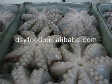 IQF Frozen Octopus ( flower shape clean)