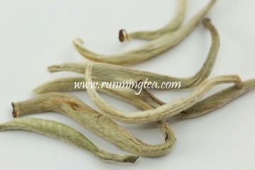 silver tip white tea