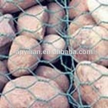 Gabion stainless steel wire mesh for stone sale