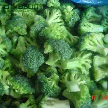 Export IQF frozen broccoli