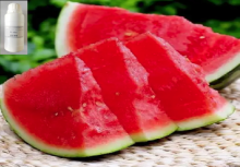 Watermelon Fragrance