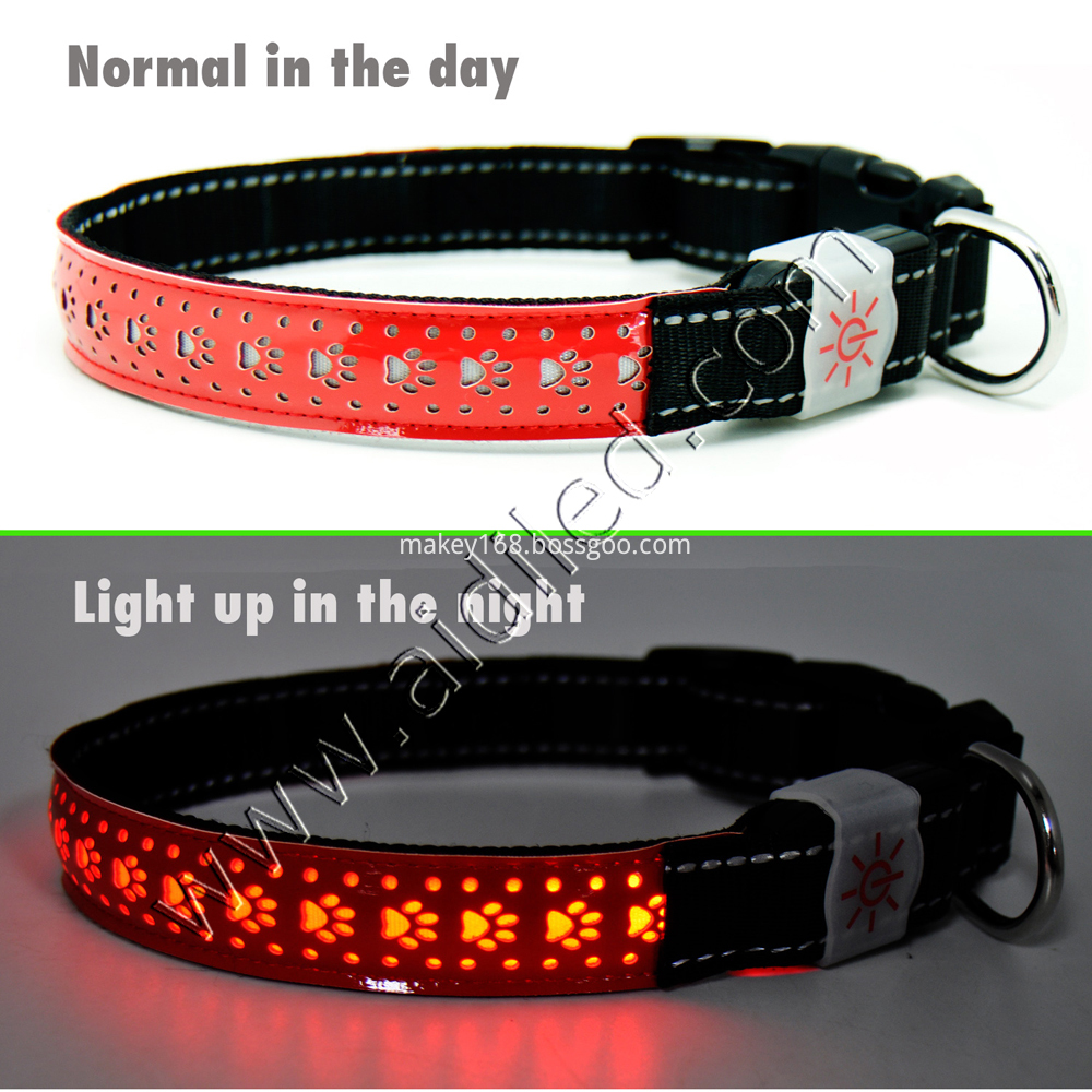 Leather Led Night Safety Dog Collar