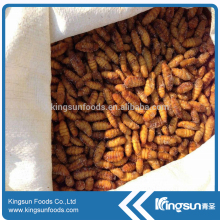 Bulk Packing Food Silkworm On Sale