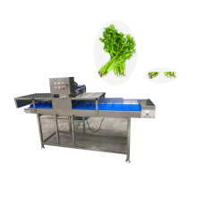 Electric Garlic and Celery Root and Stem Cutting Machine