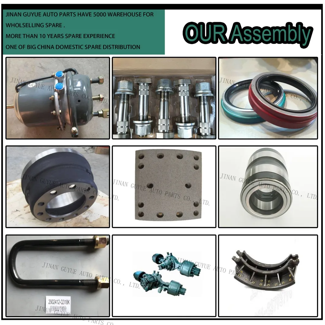 Over 500 Items Auto Parts for Daf