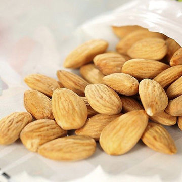American Big Almond Import Agent, ISO 9001:2008 Standard