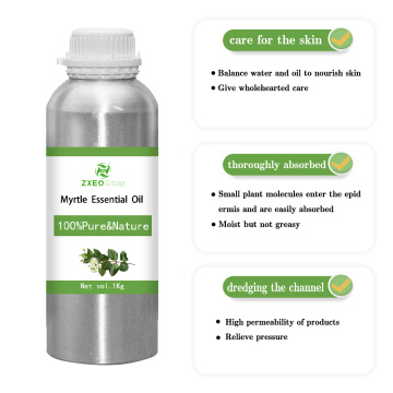 Aceite esencial de Myrtle 100% puro y natural Aceite Bluk de alta calidad de alta calidad para compradores globales para los compradores globales El mejor precio