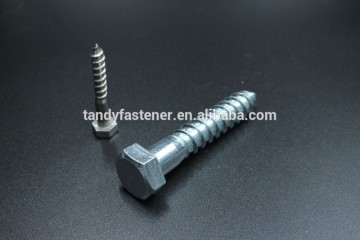 Hex head wood screw colored