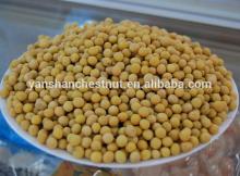 Chinese high protein Soybean soy beans